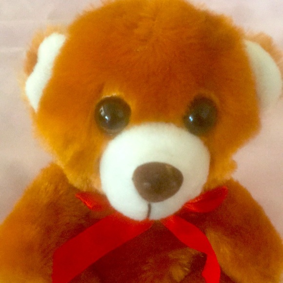 Plush Teddy Bear - Picture 3 of 5